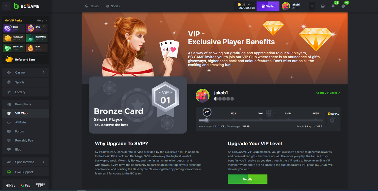 BC.Game: A Hub of Global Pc Gaming, Crypto Thrills, and Special Advantages